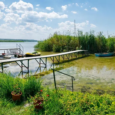 Schilf By Interhome Lejlighed *